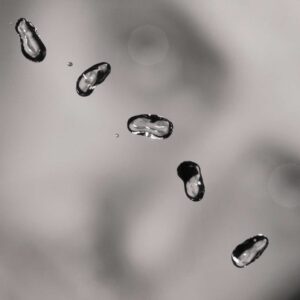 peter-gabriel-up