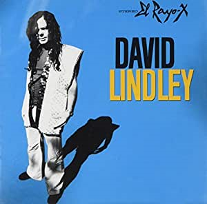 David Lindley’s 10 Greatest Songs and Greatest Discs (Representative Songs and Hidden Masterpieces)