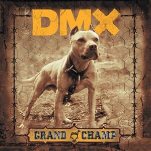 dmx-champ