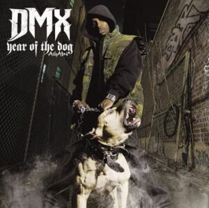 dmx-year