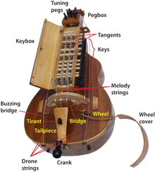 donovan-hurdy-gurdy