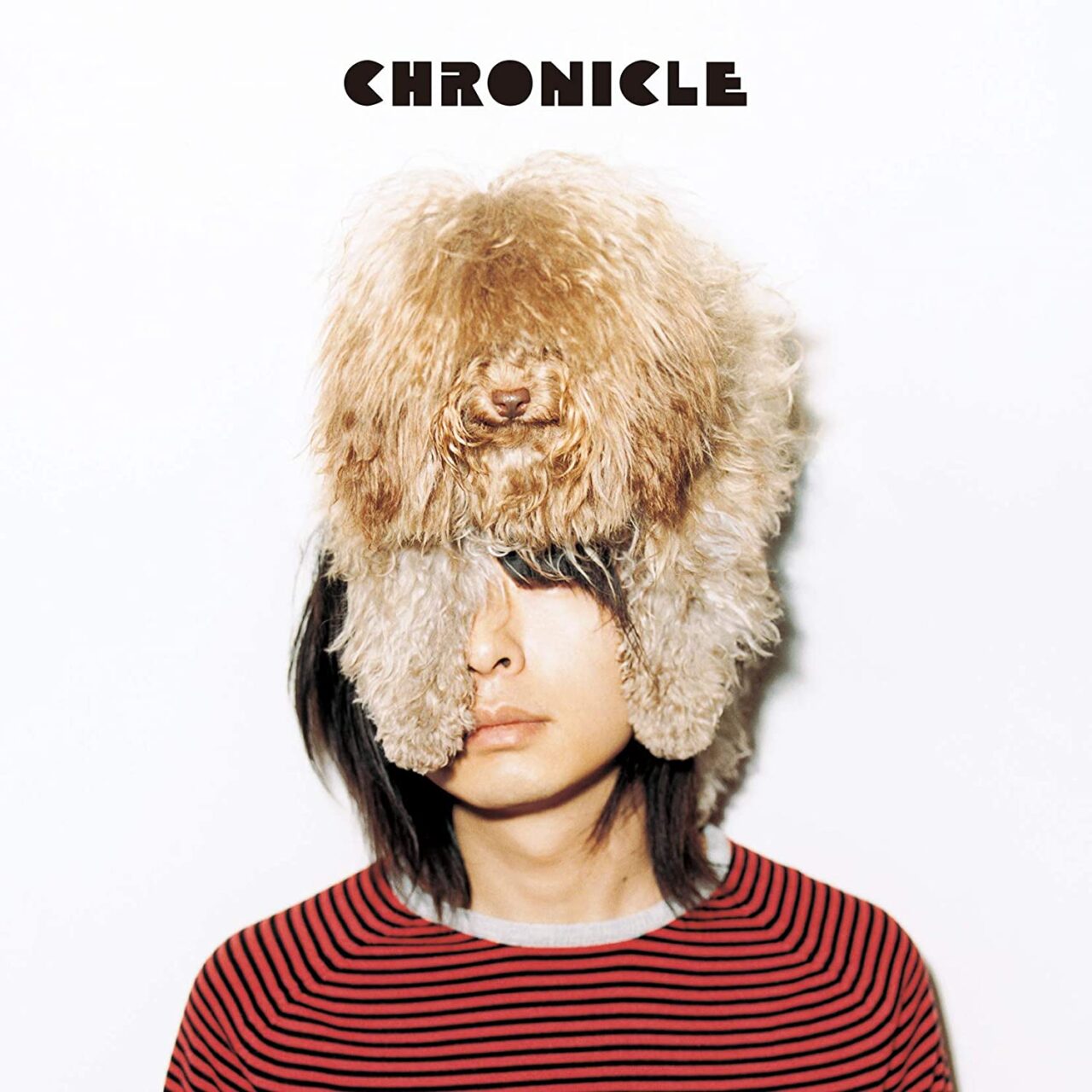 fujifabric-chronicle