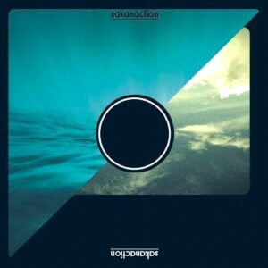 sakanaction